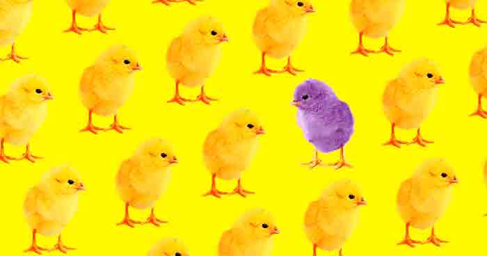 Ask A Queer Chick